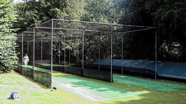 Cricket